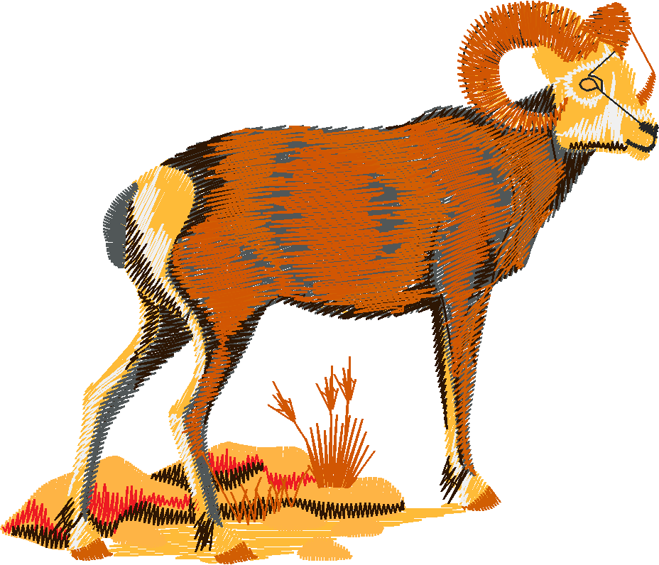Animals 21   Wildlife 01  (4)
