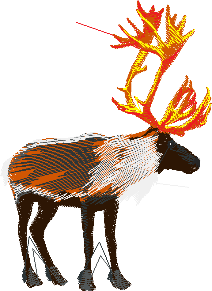 Animals 21   Wildlife 01  (6)
