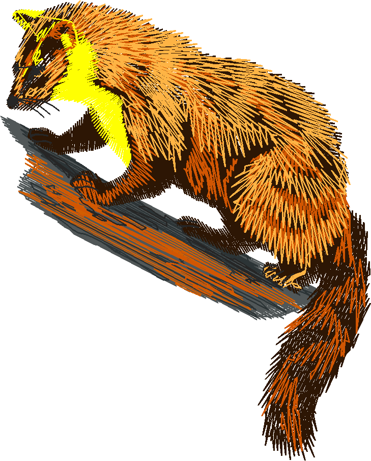Animals 21   Wildlife 01  (9)
