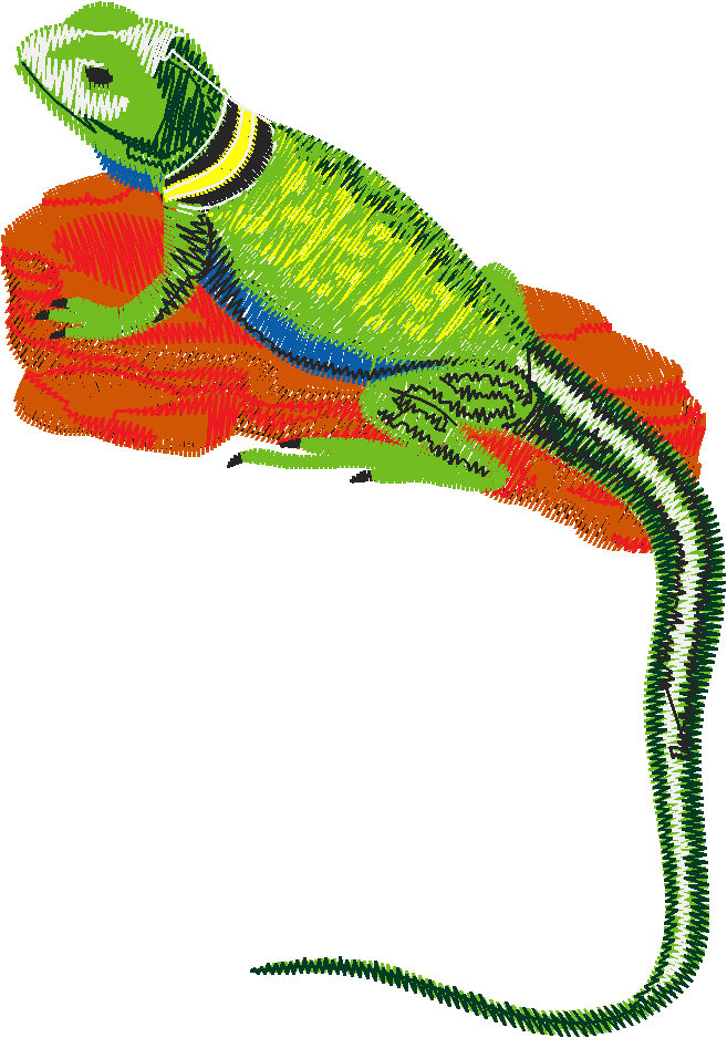 Animals 22   Wildlife 02 (11)
