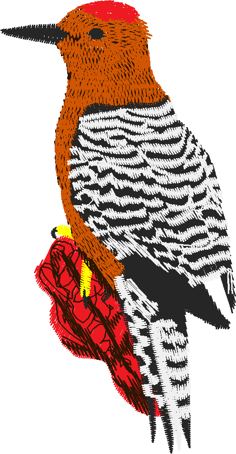 Animals 22   Wildlife 02 (16)