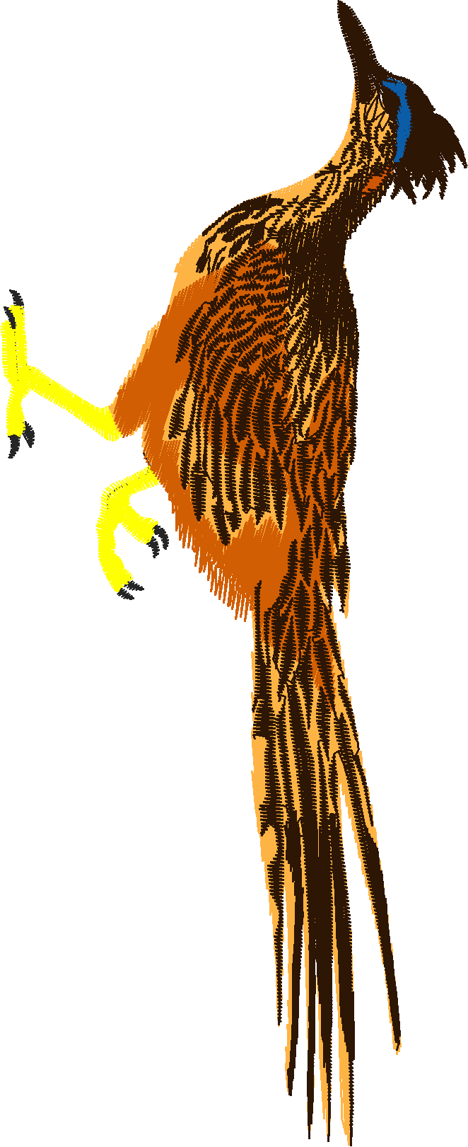 Animals 22   Wildlife 02 (19)