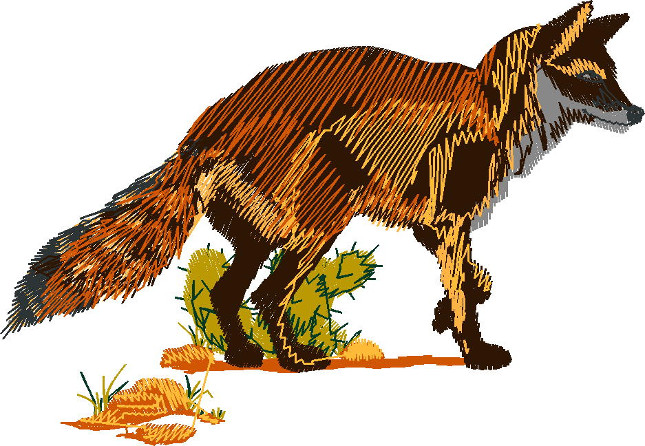Animals 22   Wildlife 02 (5)