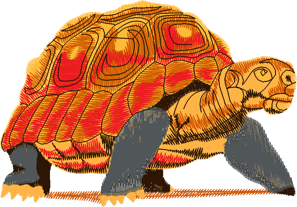Animals 22   Wildlife 02 (9)
