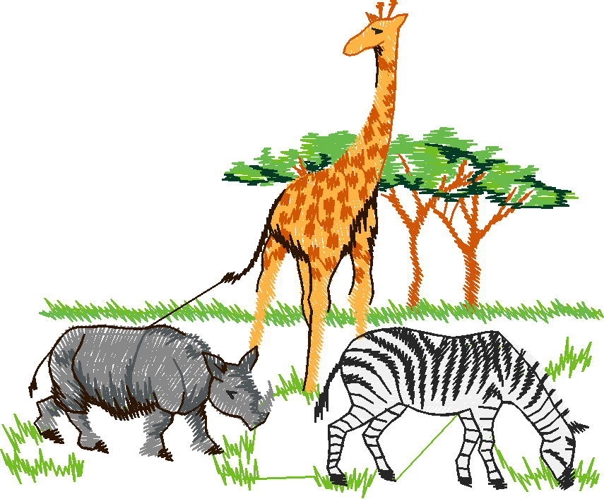 Animals 24   Wildlife 04 (11)