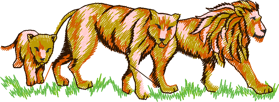 Animals 24   Wildlife 04 (12)
