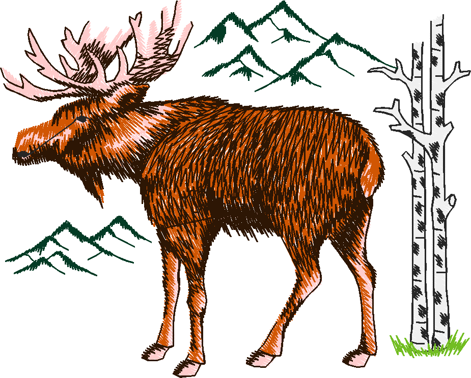 Animals 24   Wildlife 04 (13)