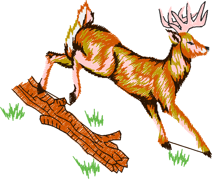 Animals 24   Wildlife 04 (15)