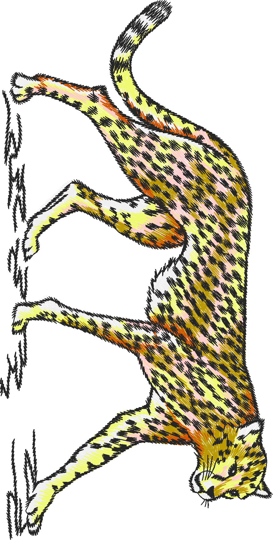 Animals 24   Wildlife 04 (30)