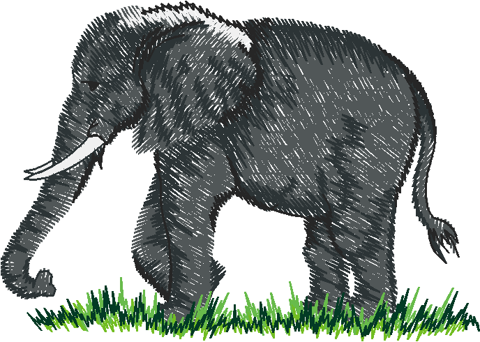 Animals 24   Wildlife 04 (9)