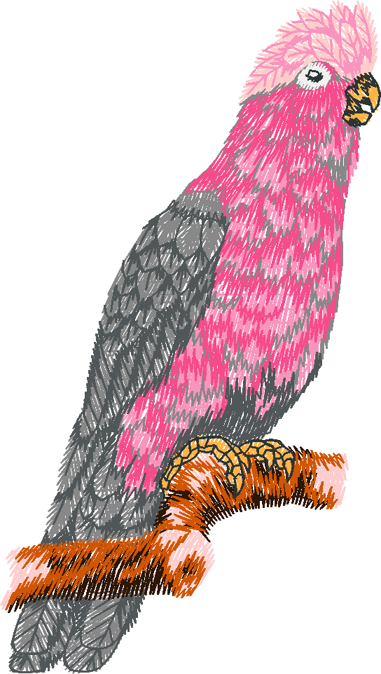 Animals 25   Wildlife 05  (11)