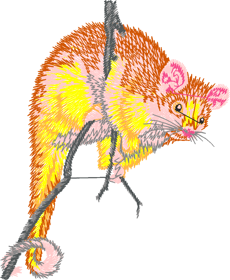Animals 25   Wildlife 05  (13)