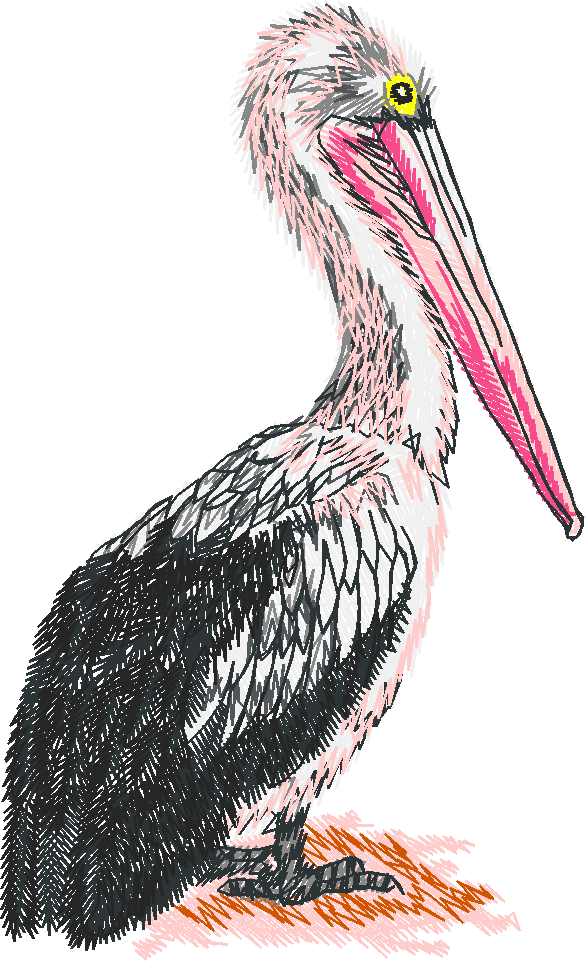 Animals 25   Wildlife 05  (15)