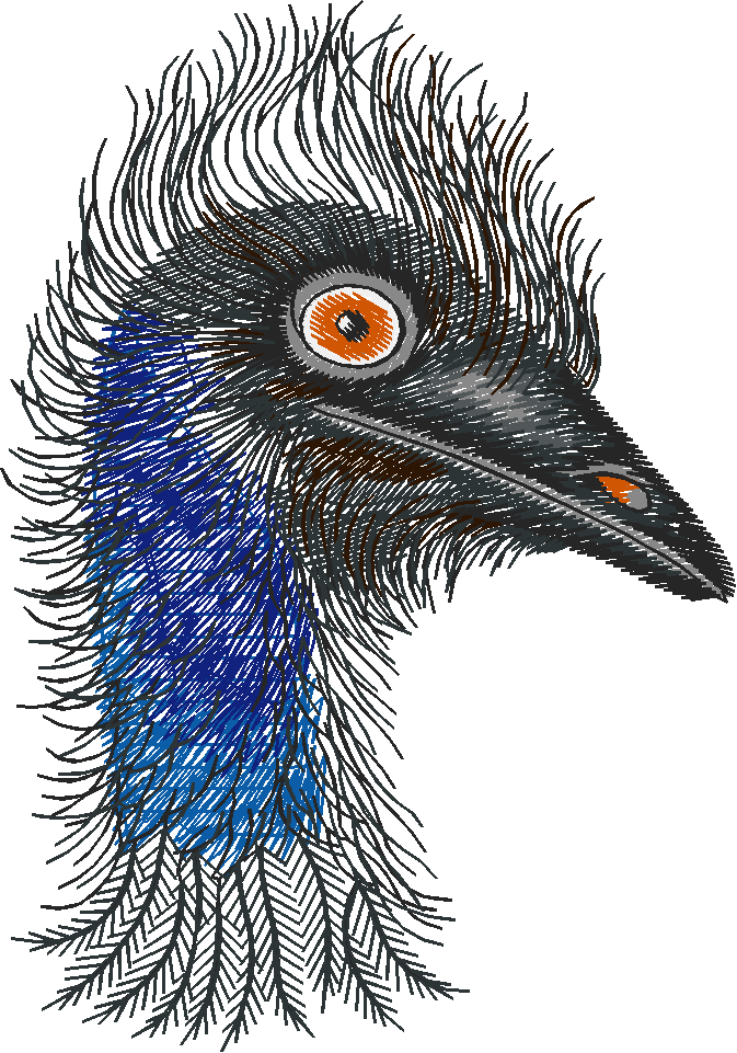 Animals 25   Wildlife 05  (7)
