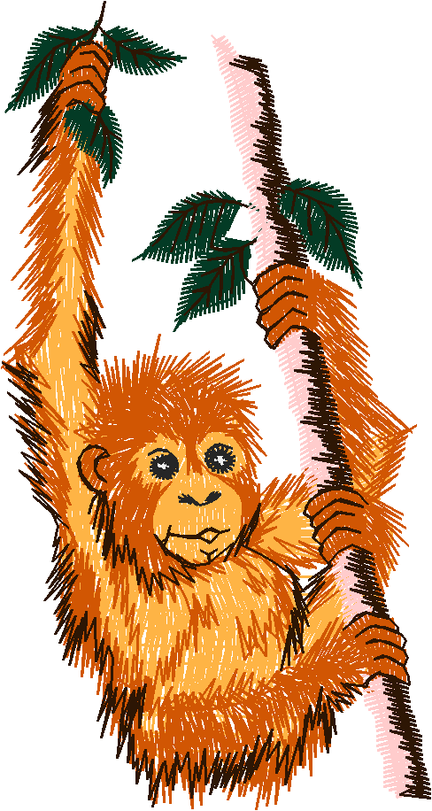 Animals 26   Wildlife 06  (13)