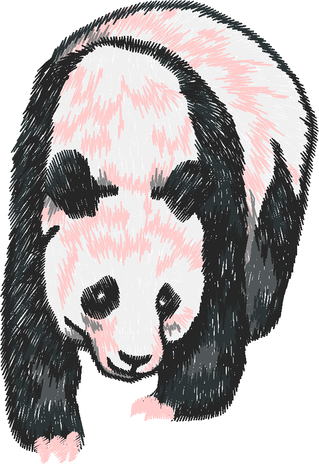 Animals 26   Wildlife 06  (16)