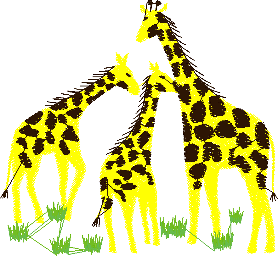 Animals 27   Wildlife 07  (10)
