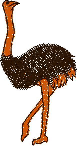 Animals 27   Wildlife 07  (12)
