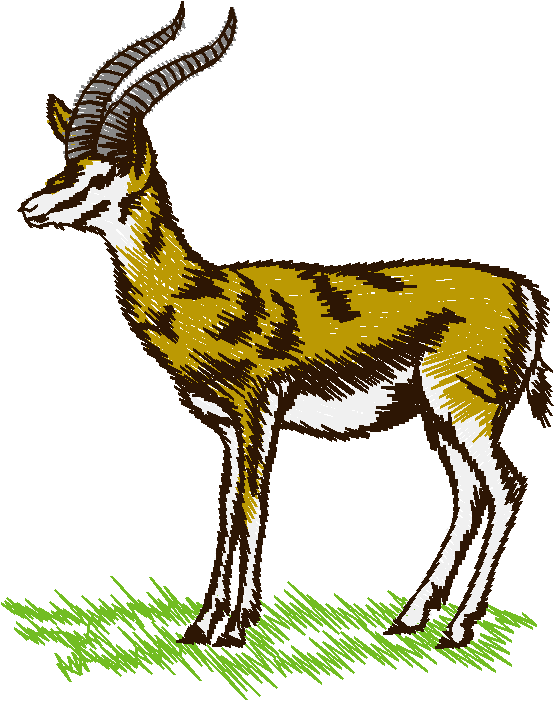 Animals 27   Wildlife 07  (19)