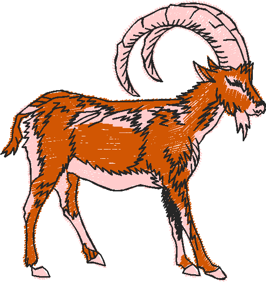 Animals 27   Wildlife 07  (20)