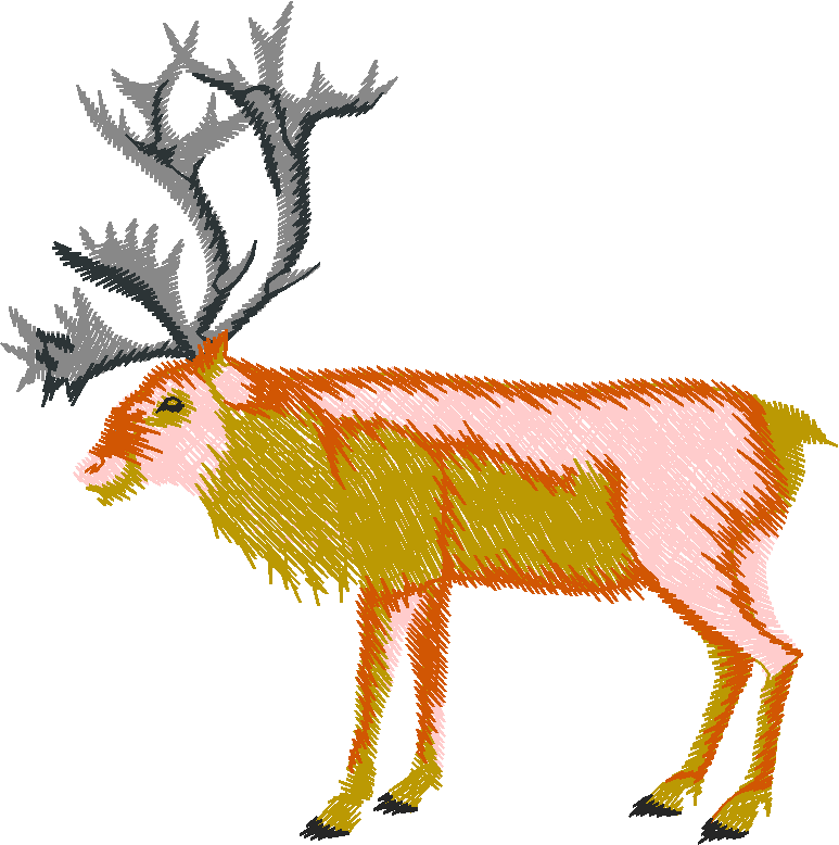 Animals 27   Wildlife 07  (22)