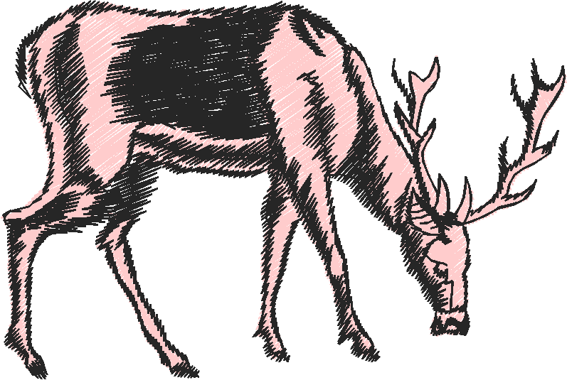 Animals 27   Wildlife 07  (23)