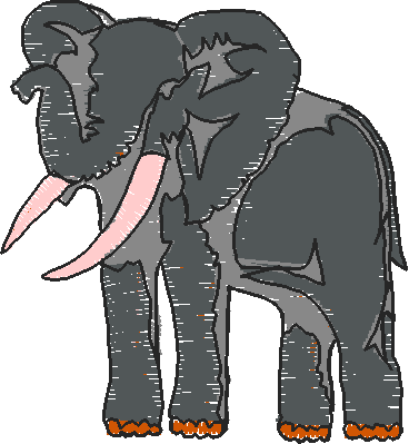 Animals 28   Wildlife 08  (1)