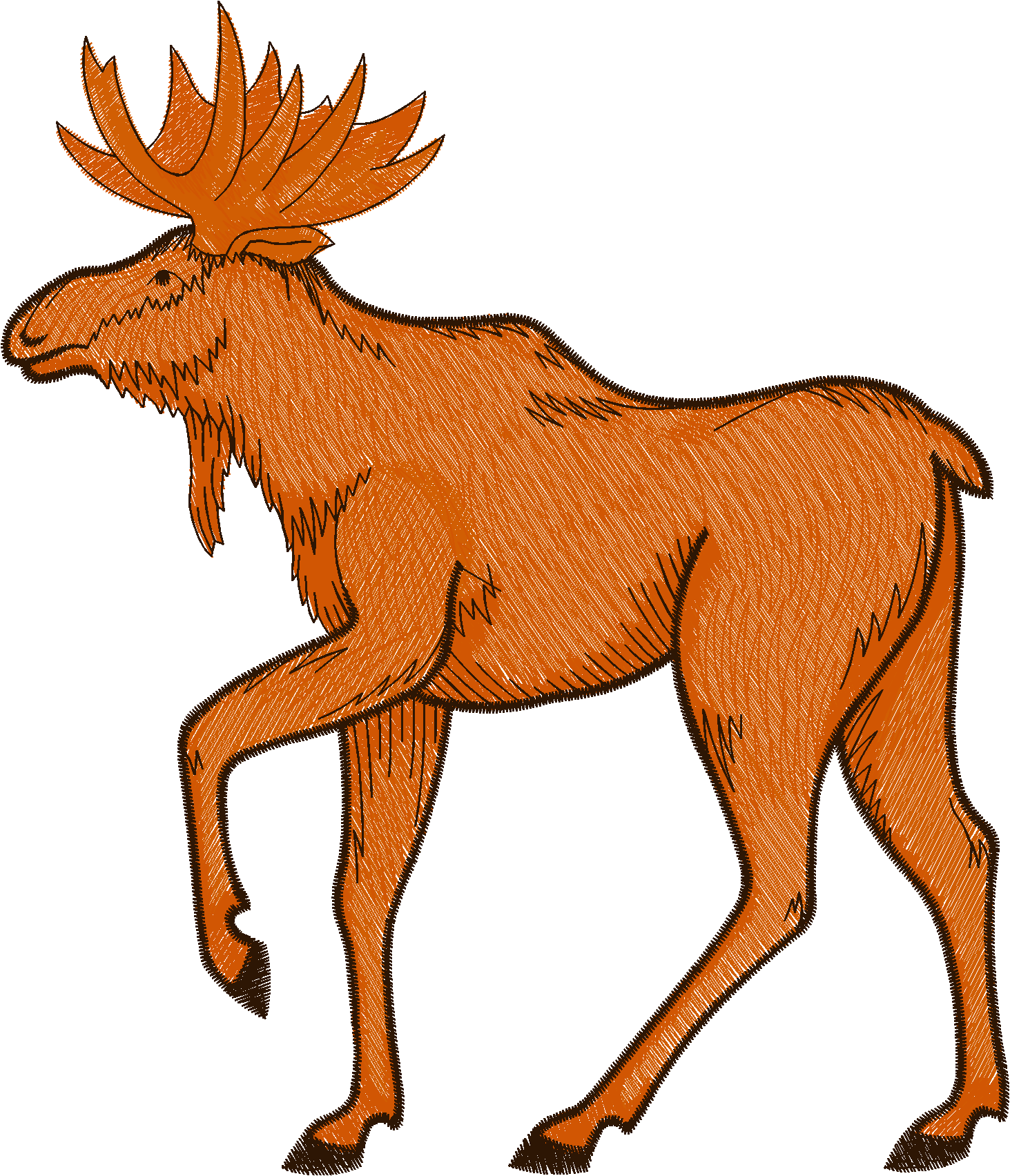 Animals 29   Wildlife 09  (8)