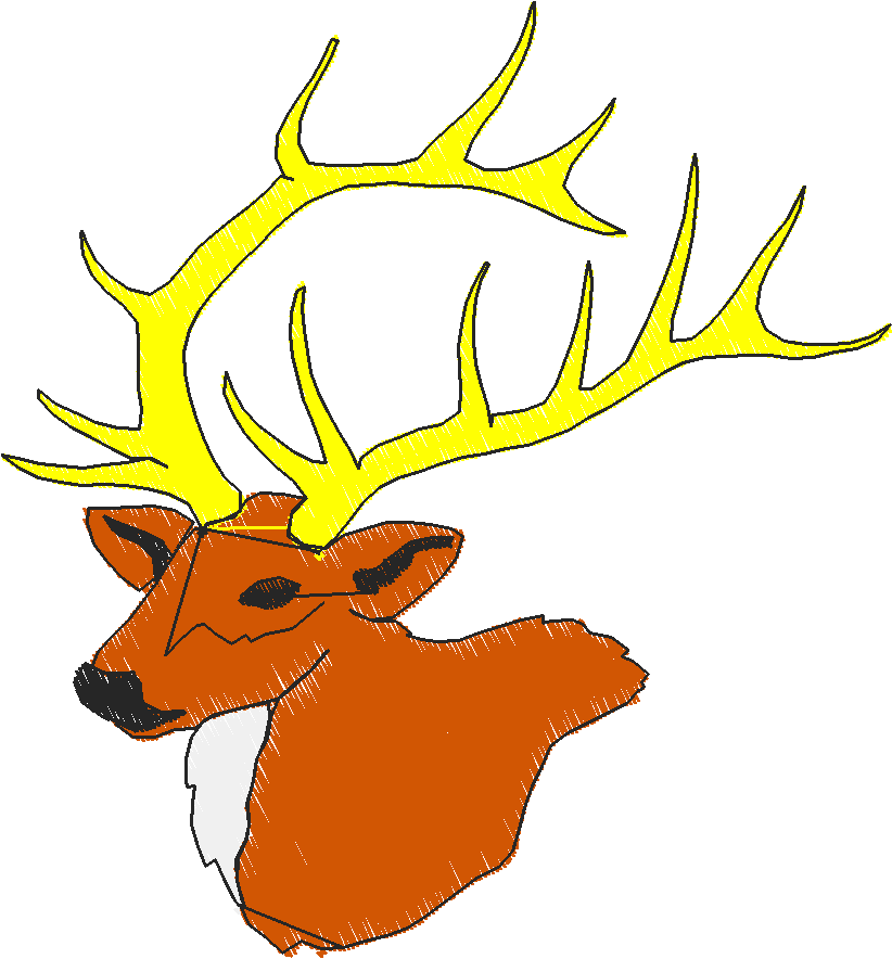 Animals 30   Wildlife 10 (9)