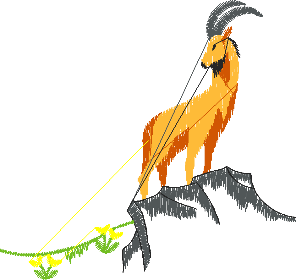 Animals 4 (1)
