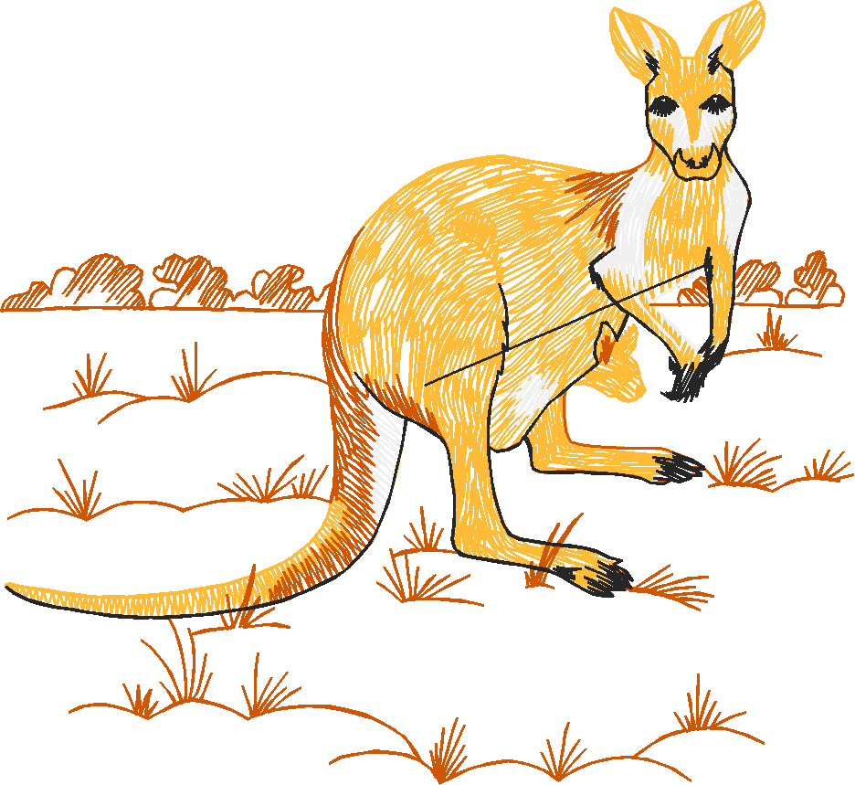 Animals 5 (12)