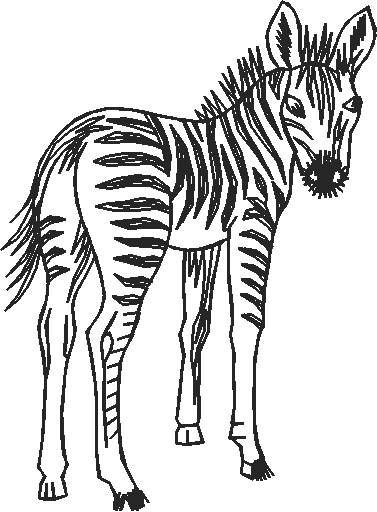 Animals 5 (18)