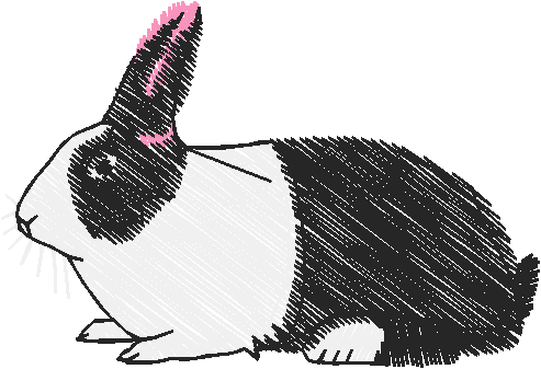 Animals 5 (2)