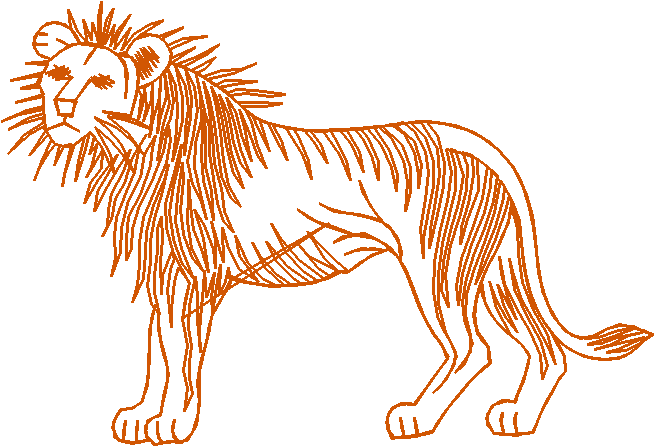 Animals 5 (7)