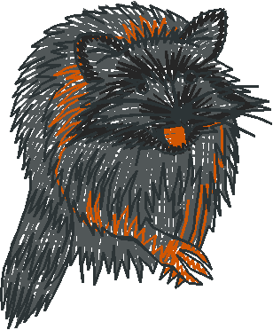 Animals 5 (8)