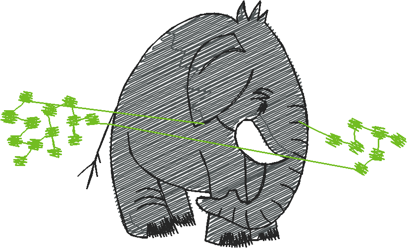 Animals 7 (13)