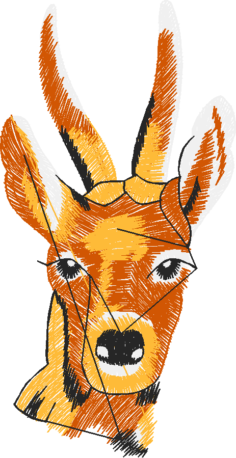Animals 7 (17)