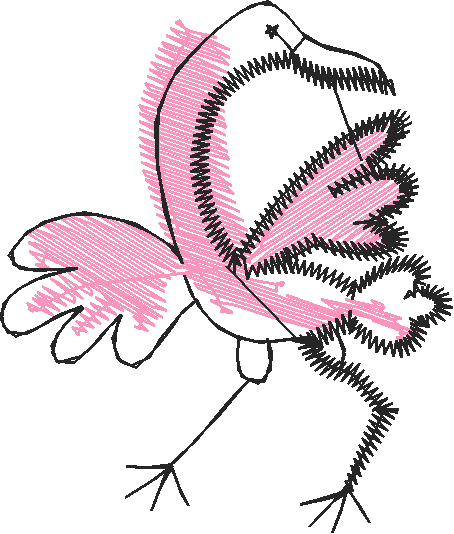 Animals 8 (16)