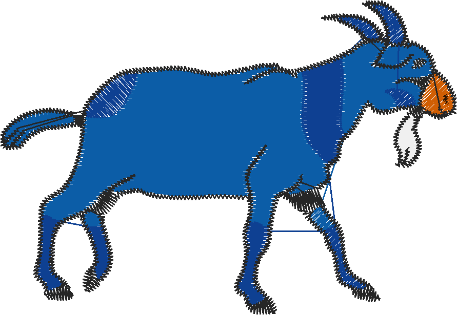 Animals Of The World