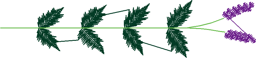Appl049