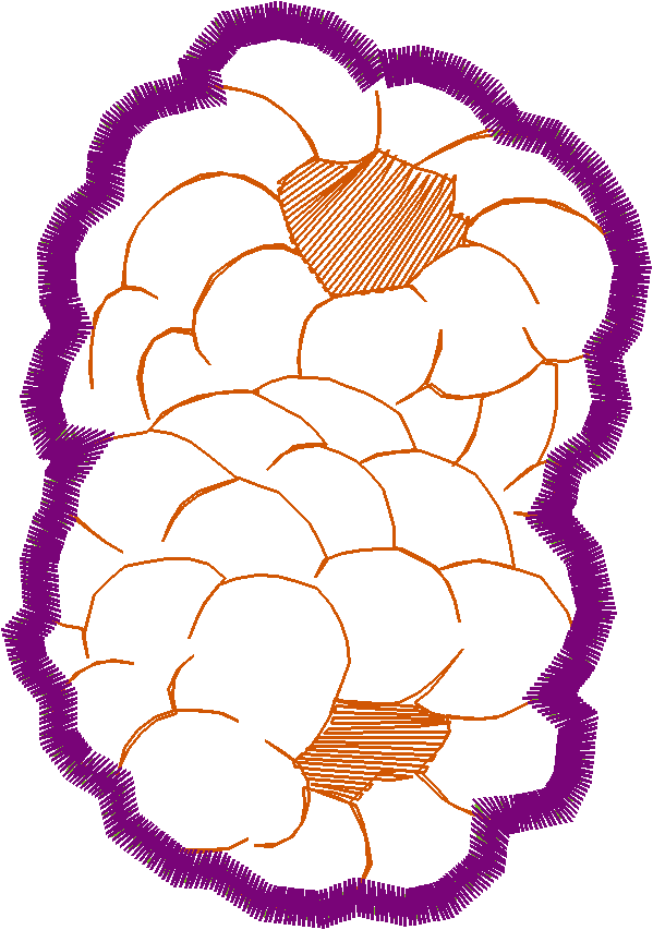 Applique   Fruit  (4)