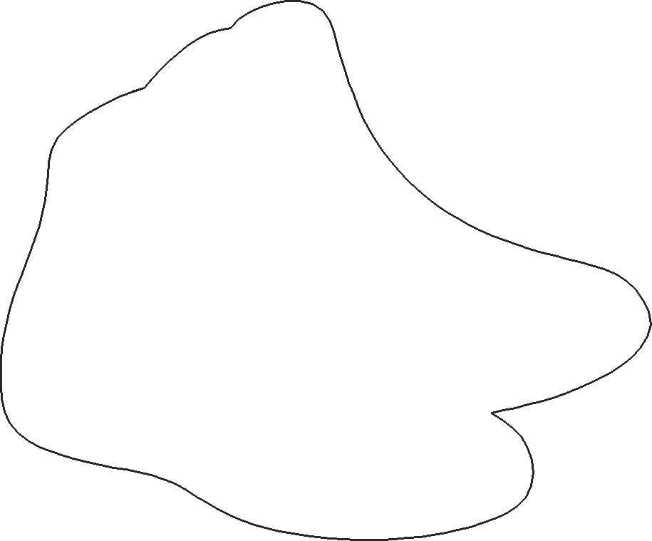 Applique  Ice Saktes (1)