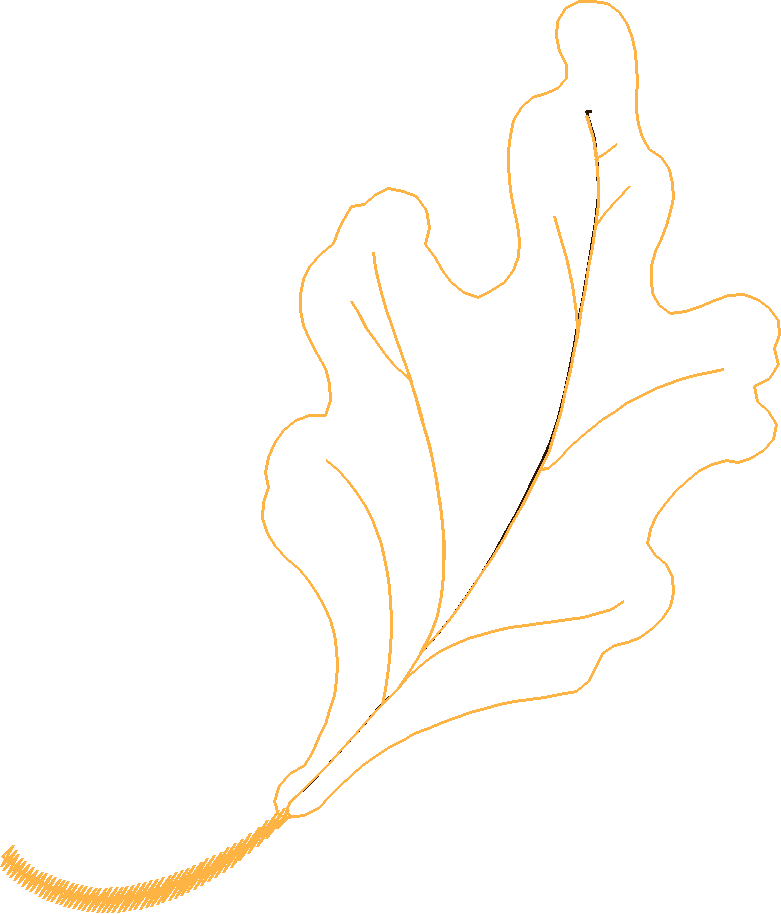 Oak1da