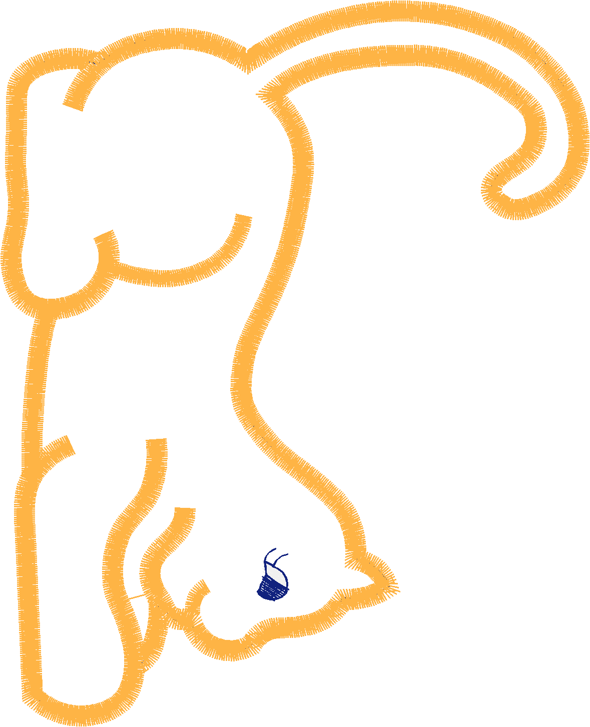 Cat 3