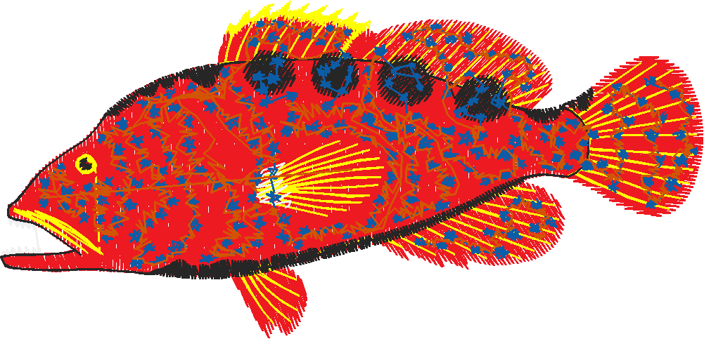 Aquatic Collection