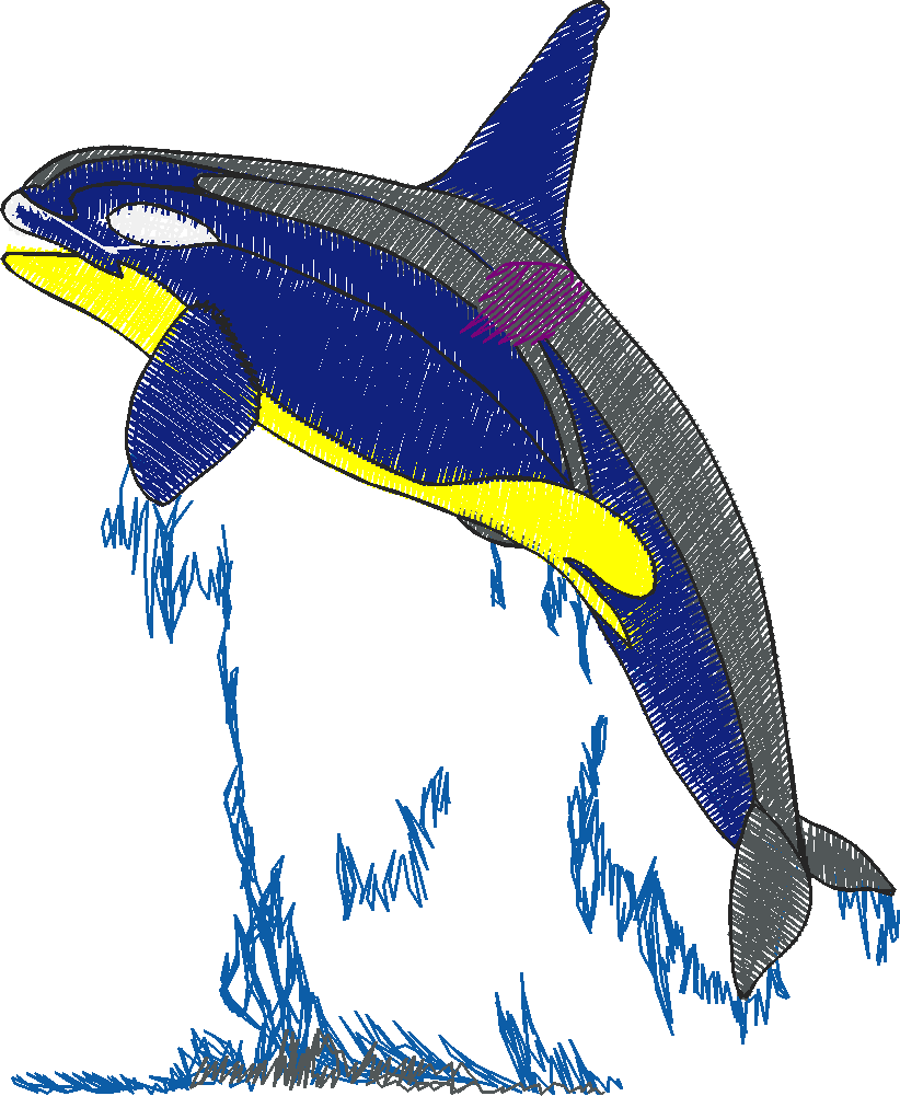 Aquatic 1 (11)