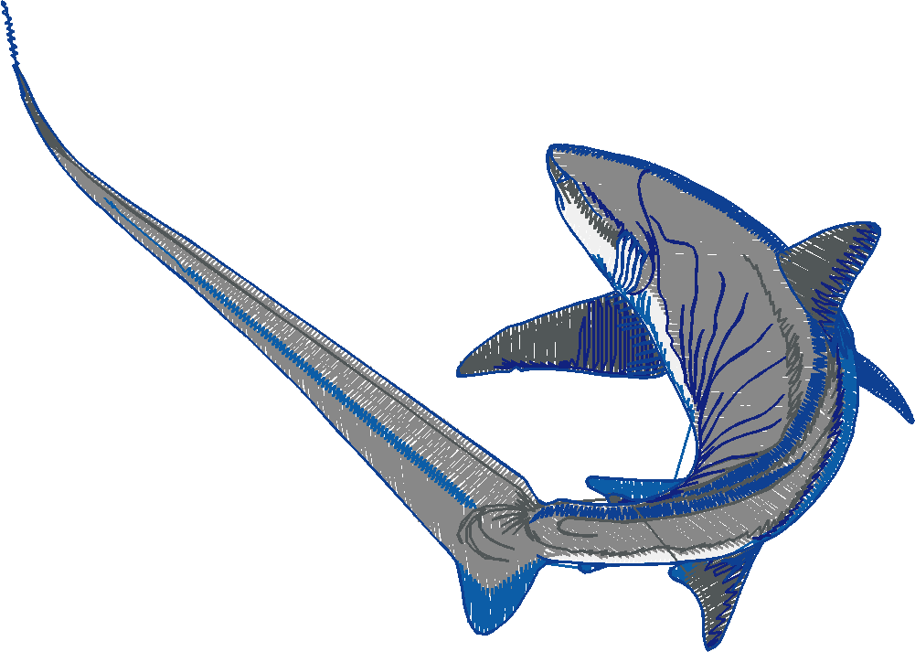 Aquatic 1 (5)