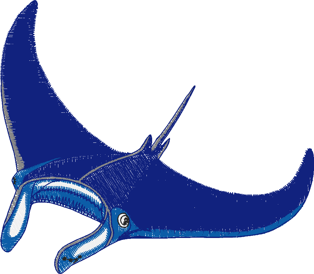 Aquatic 3  (13)