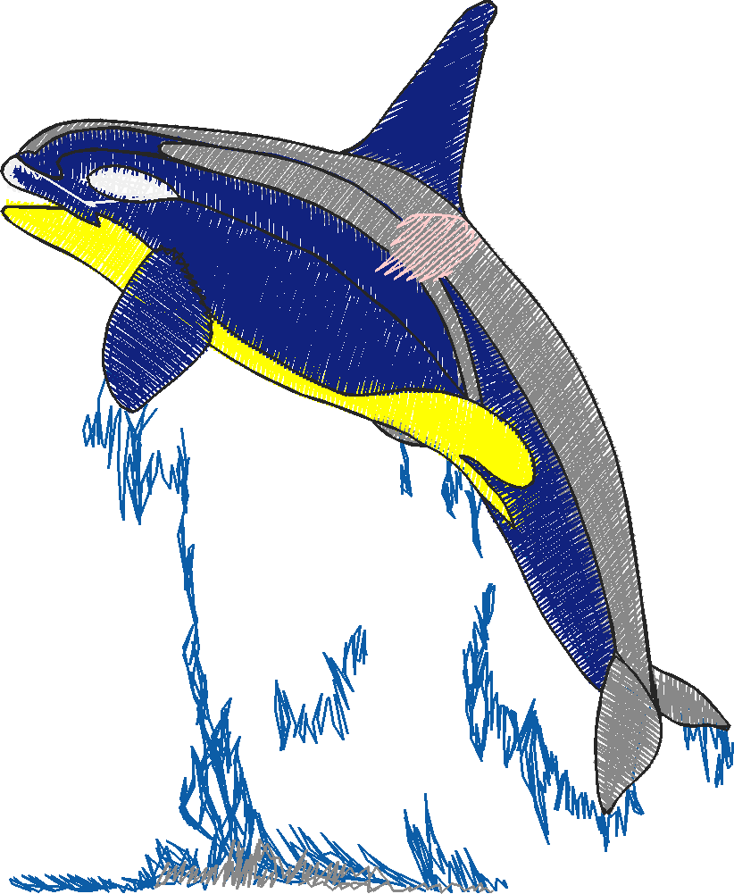 Aquatic 3  (16)