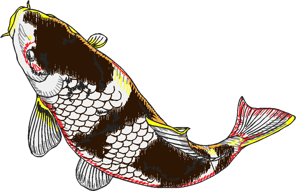 Aquatic 3  (3)